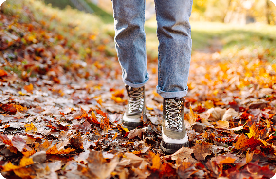The Fall Enthusiast